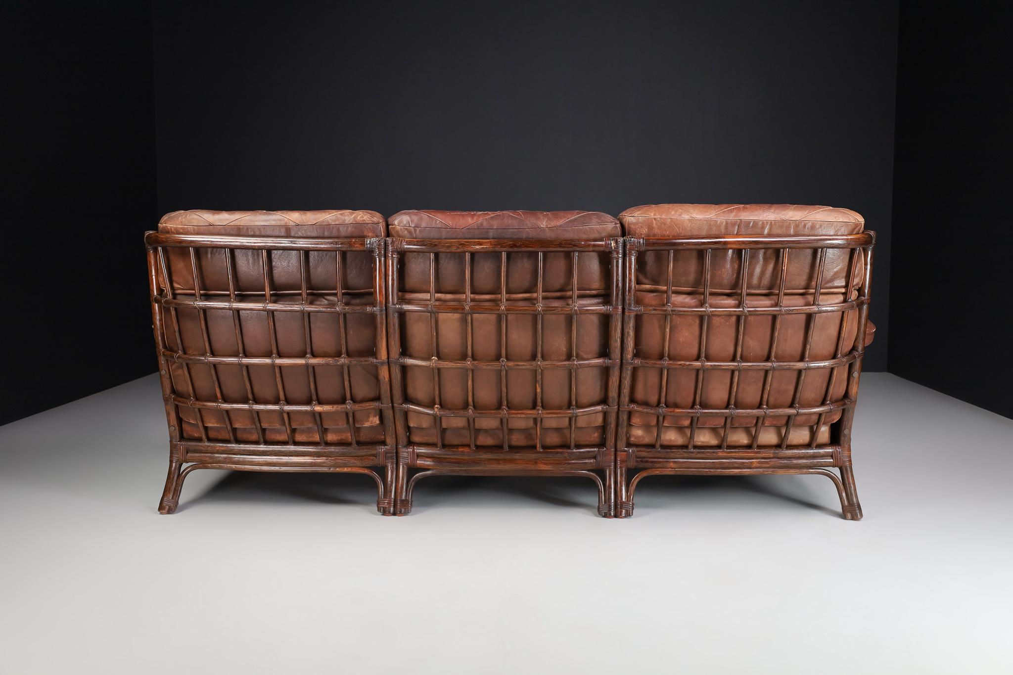 Mid-Century Modern Bamboo and Leather Sofa, France, 1970s For Sale 2