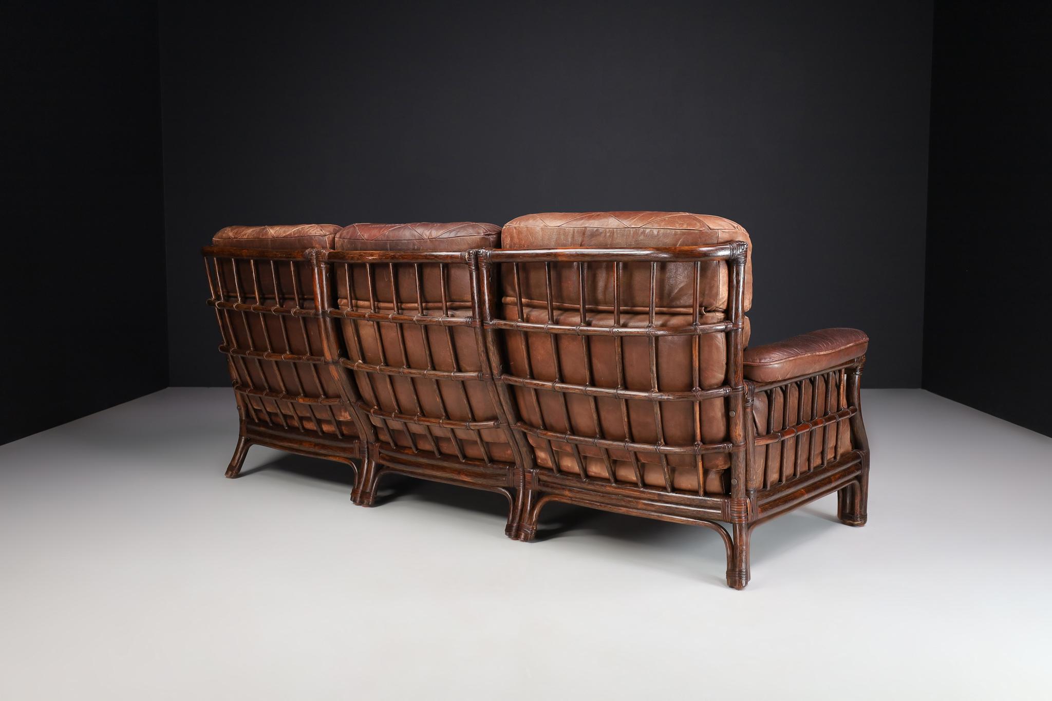Mid-Century Modern Bamboo and Leather Sofa, France, 1970s For Sale 4