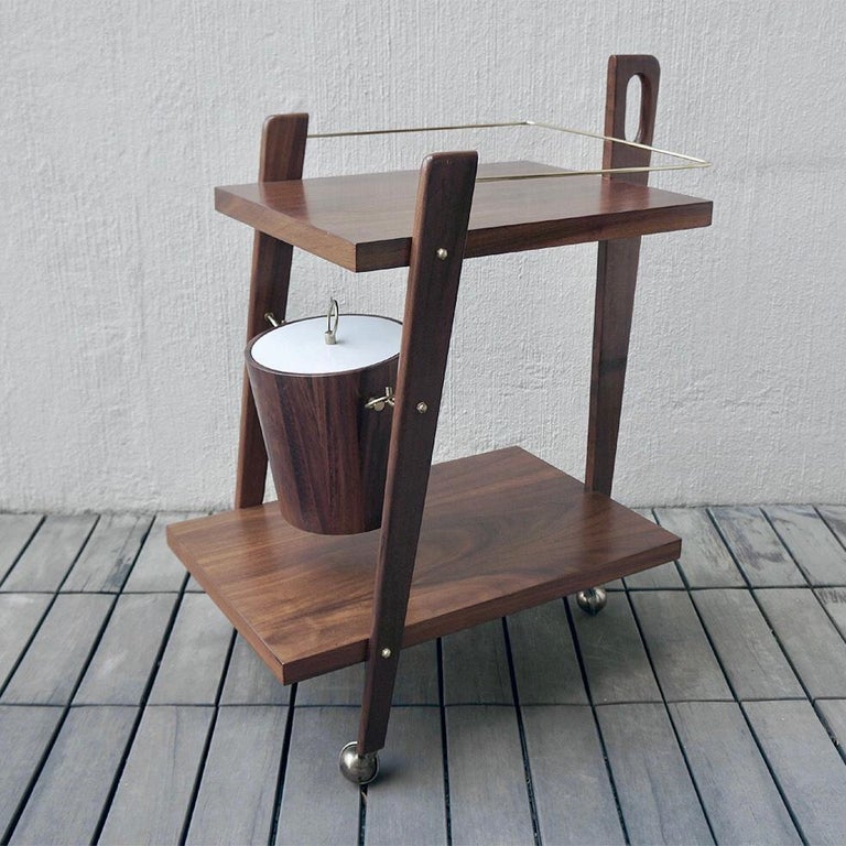 Wonderful bar cart made of mahogany wood, has two levels of service and has its ice bucket.