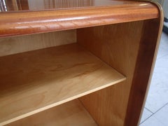 Mid Century Modern Bar or Vitrine with 2 Sliding Doors