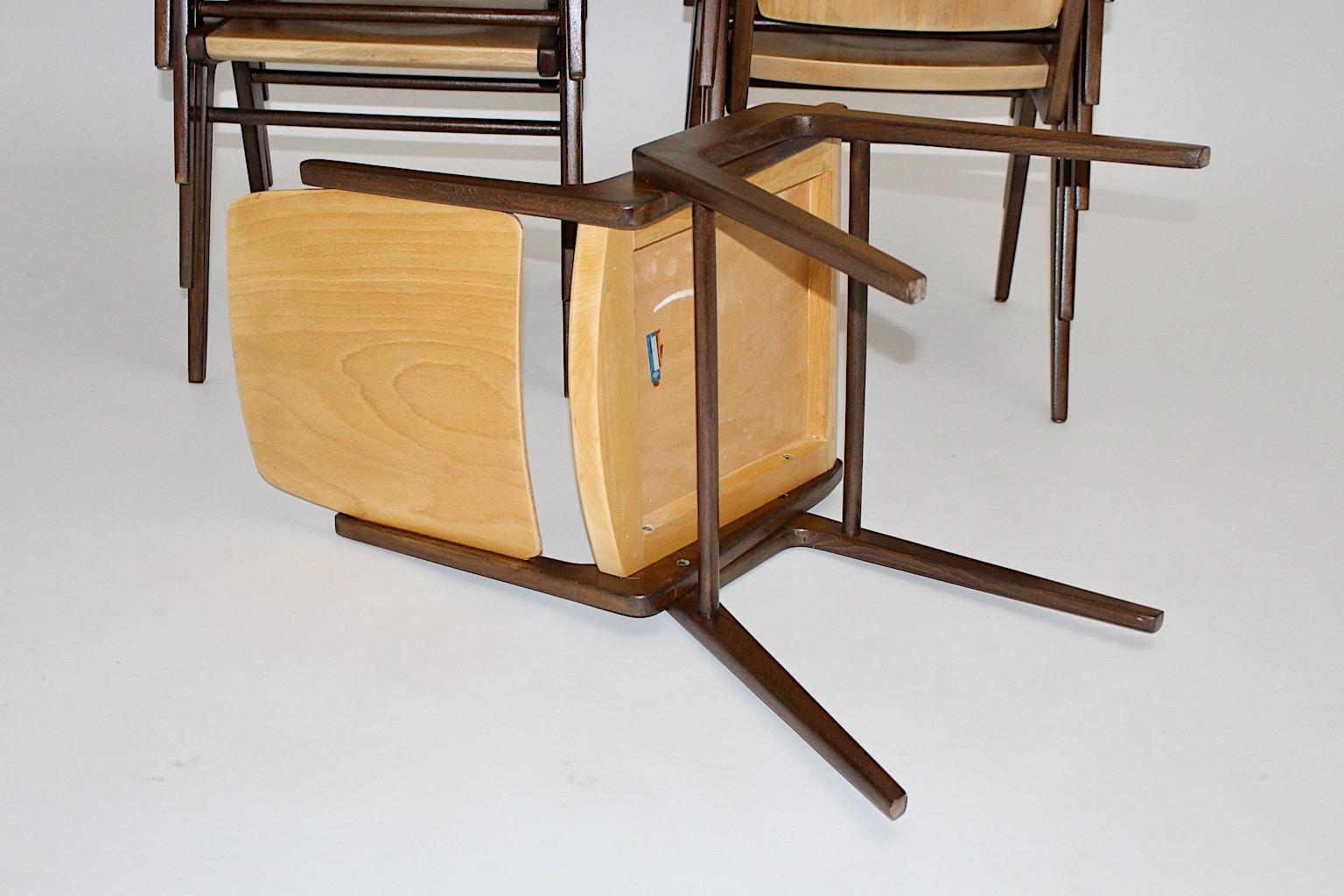 Douze chaises de salle à manger vintage en hêtre marron de style moderne du milieu du siècle dernier, Franz Schuster en vente 8