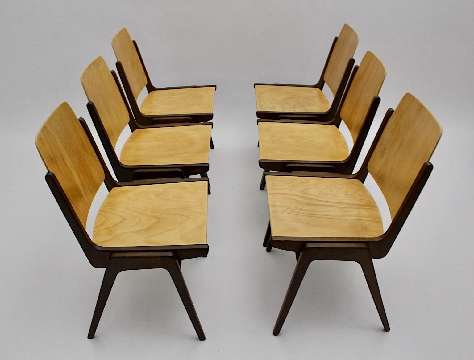 Douze chaises de salle à manger vintage en hêtre marron de style moderne du milieu du siècle dernier, Franz Schuster en vente 10