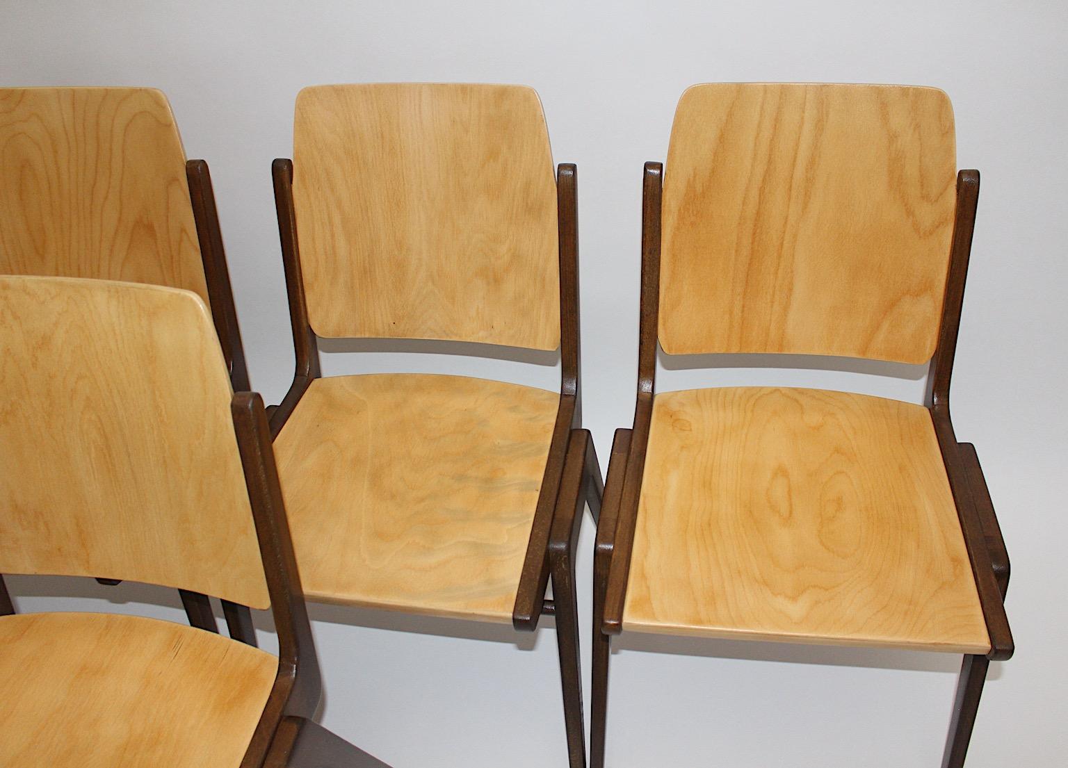 Mid-Century Modern Beech Brown Twelve Vintage Dining Chairs, Franz Schuster For Sale 13