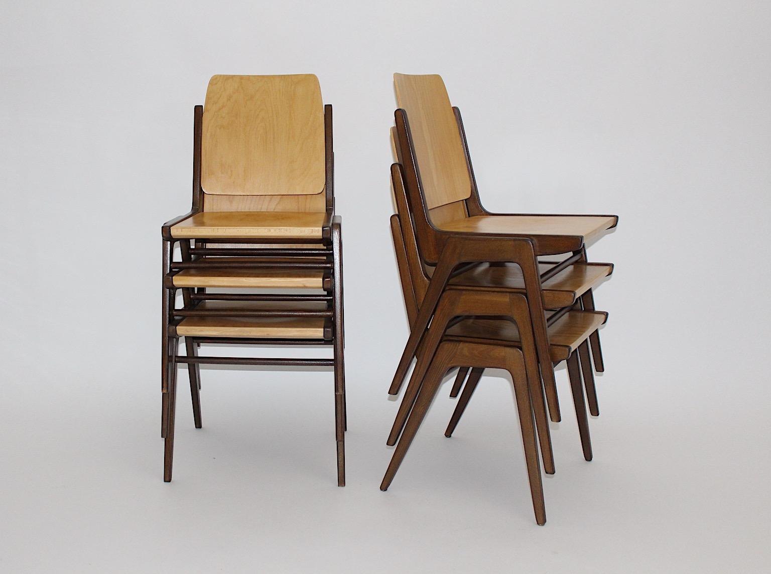 A beechwood bicolor brown Mid-Century Modern vintage set of 12 dining chairs / chairs designed by Franz Schuster 1959, which were executed by Wiesner Hager Austria.
The dining chairs or chairs show the practical feature to stack them if necessary.