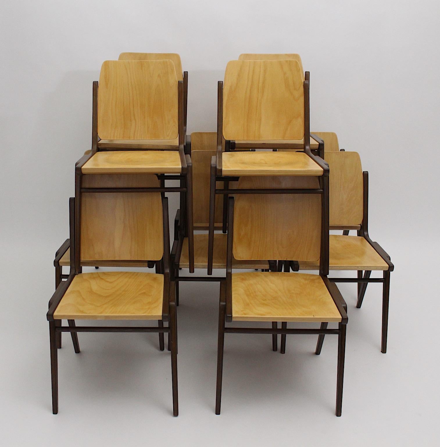 Autrichien Douze chaises de salle à manger vintage en hêtre marron de style moderne du milieu du siècle dernier, Franz Schuster en vente