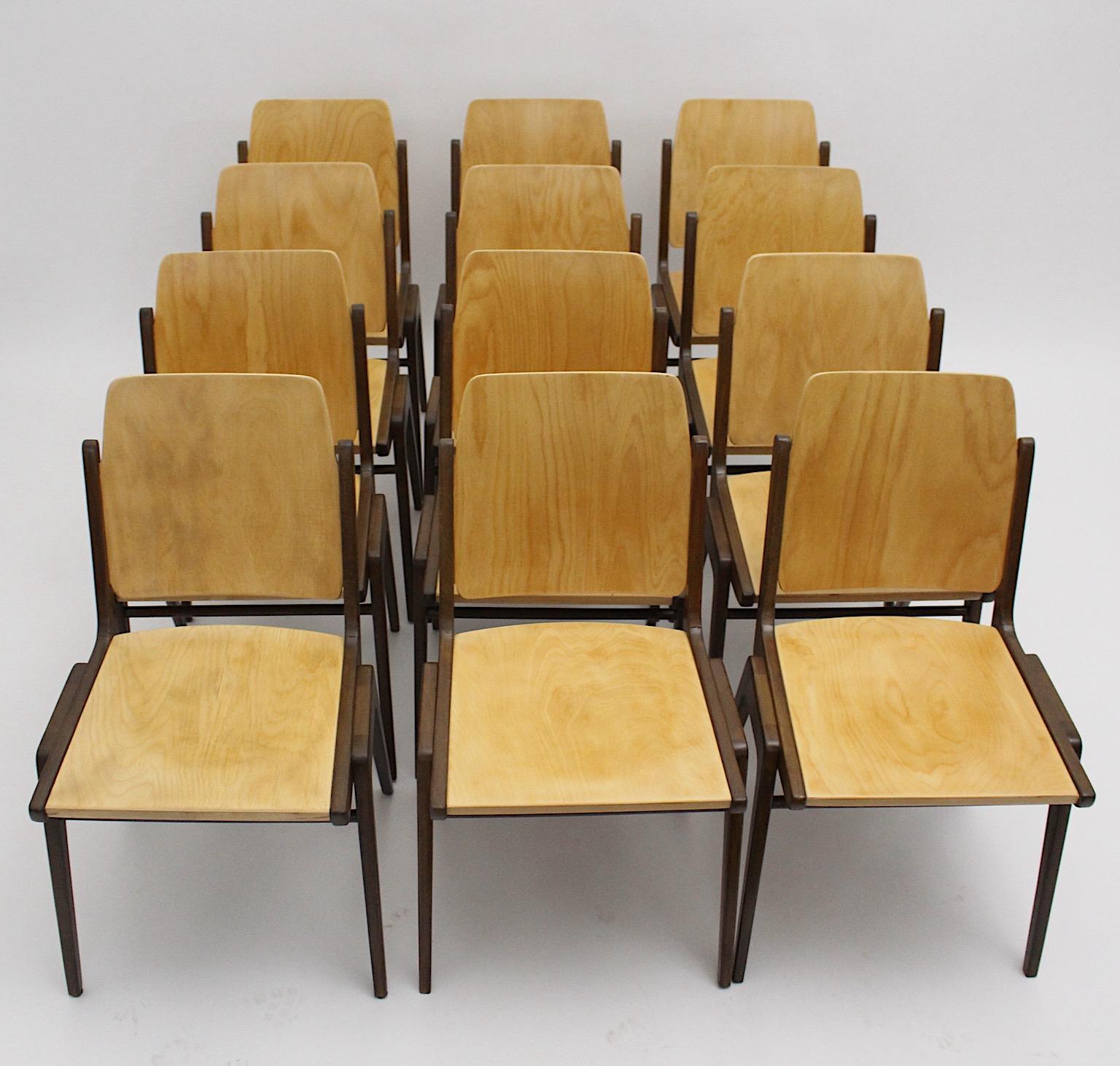 Douze chaises de salle à manger vintage en hêtre marron de style moderne du milieu du siècle dernier, Franz Schuster Bon état - En vente à Vienna, AT