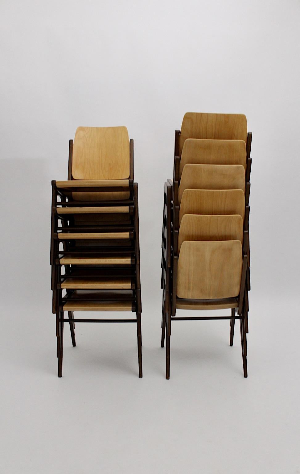 Hêtre Douze chaises de salle à manger vintage en hêtre marron de style moderne du milieu du siècle dernier, Franz Schuster en vente