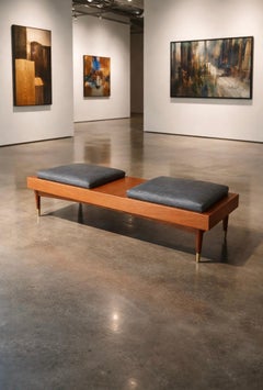 Banc moderne du milieu du siècle