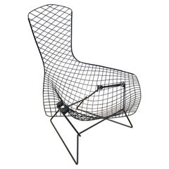 Vintage Mid-Century Modern Bird Chair in Black by Harry Bertoia for Knoll, Early 1950s