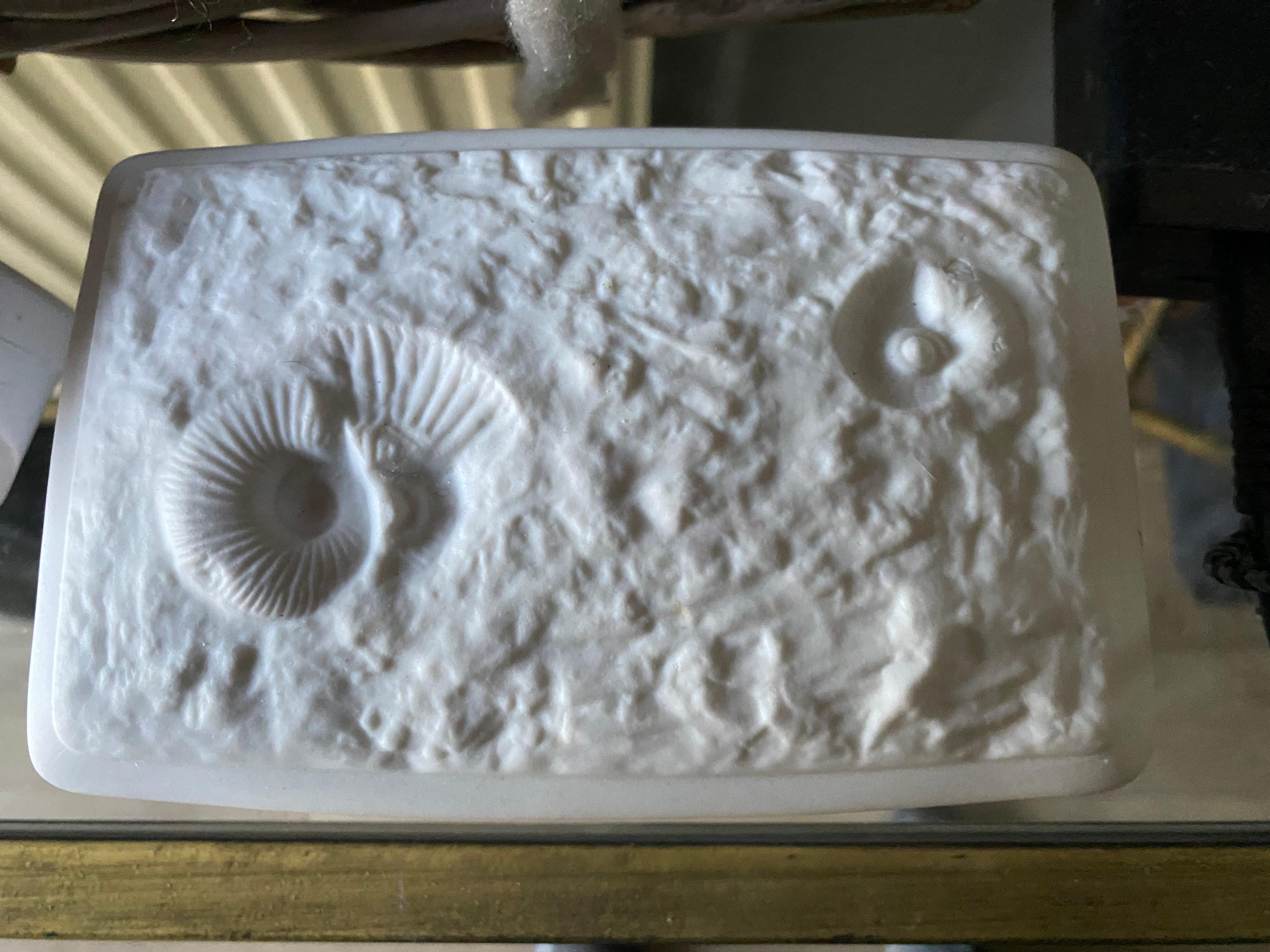 Mid-Century Modern Bisque fossil Box by Kaiser Germany For Sale 1
