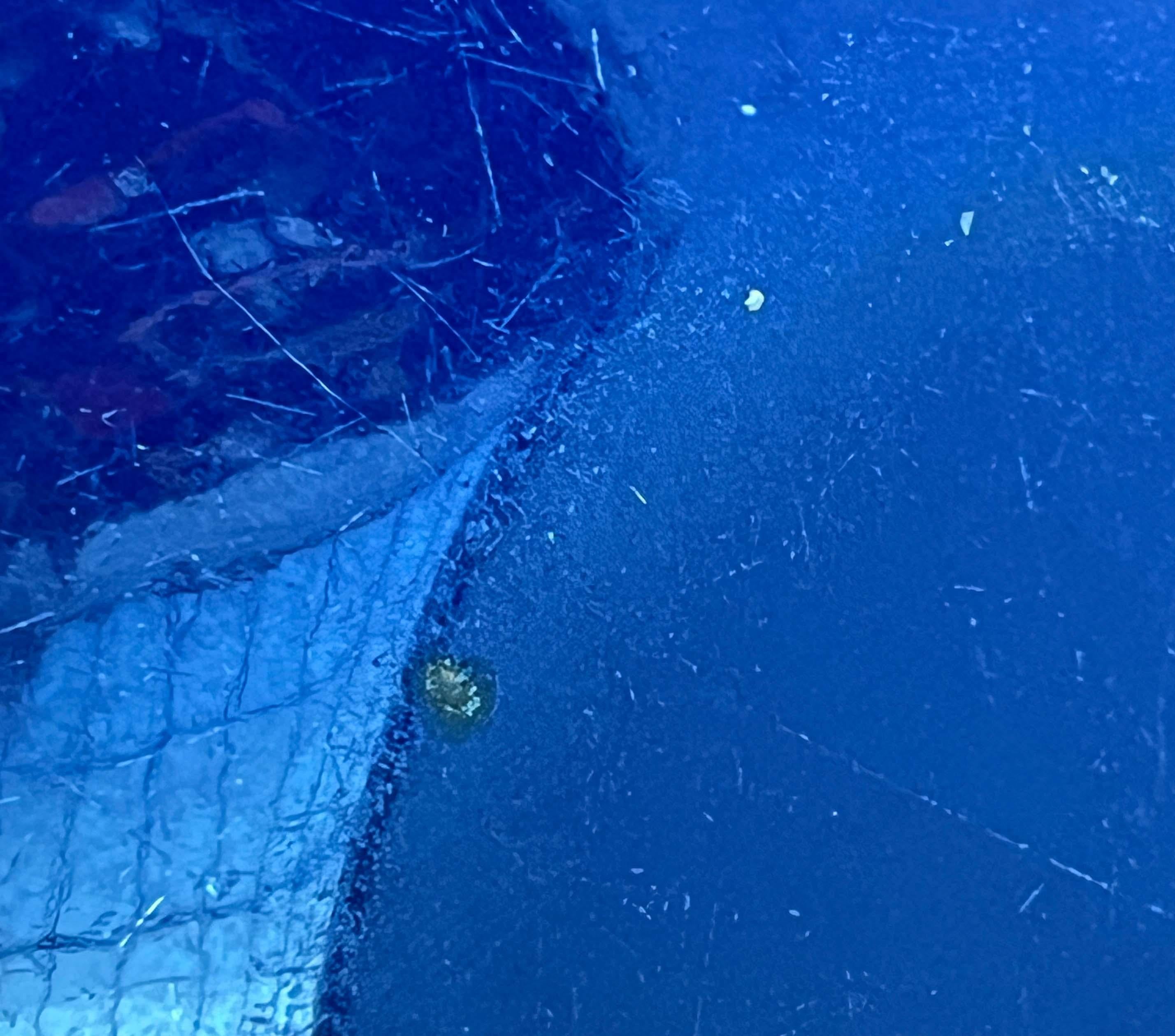 Blaue Emaille-Schale von Kaj Franck für Finel, Finnland, 1960er Jahre, Mitte des Jahrhunderts im Angebot 12