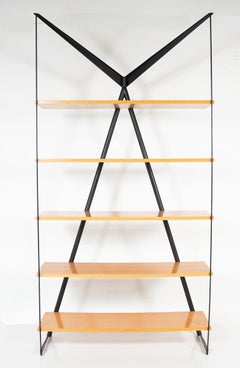 Mid-Century Modern Bookcase " Angelo Necessario" by Paolo Palluco and Mirelle R