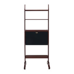 Mid-Century Modern Bookcase, Mahogany Wood, Ebonized Cupboard, Italy