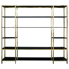 Mid-Century Modern Brass and Blacked Glass Bookshelf by Romeo Rega