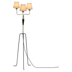 Mid-Century Modern Brass and Lacquered Metal Floor Lamp, Sweden 1950s