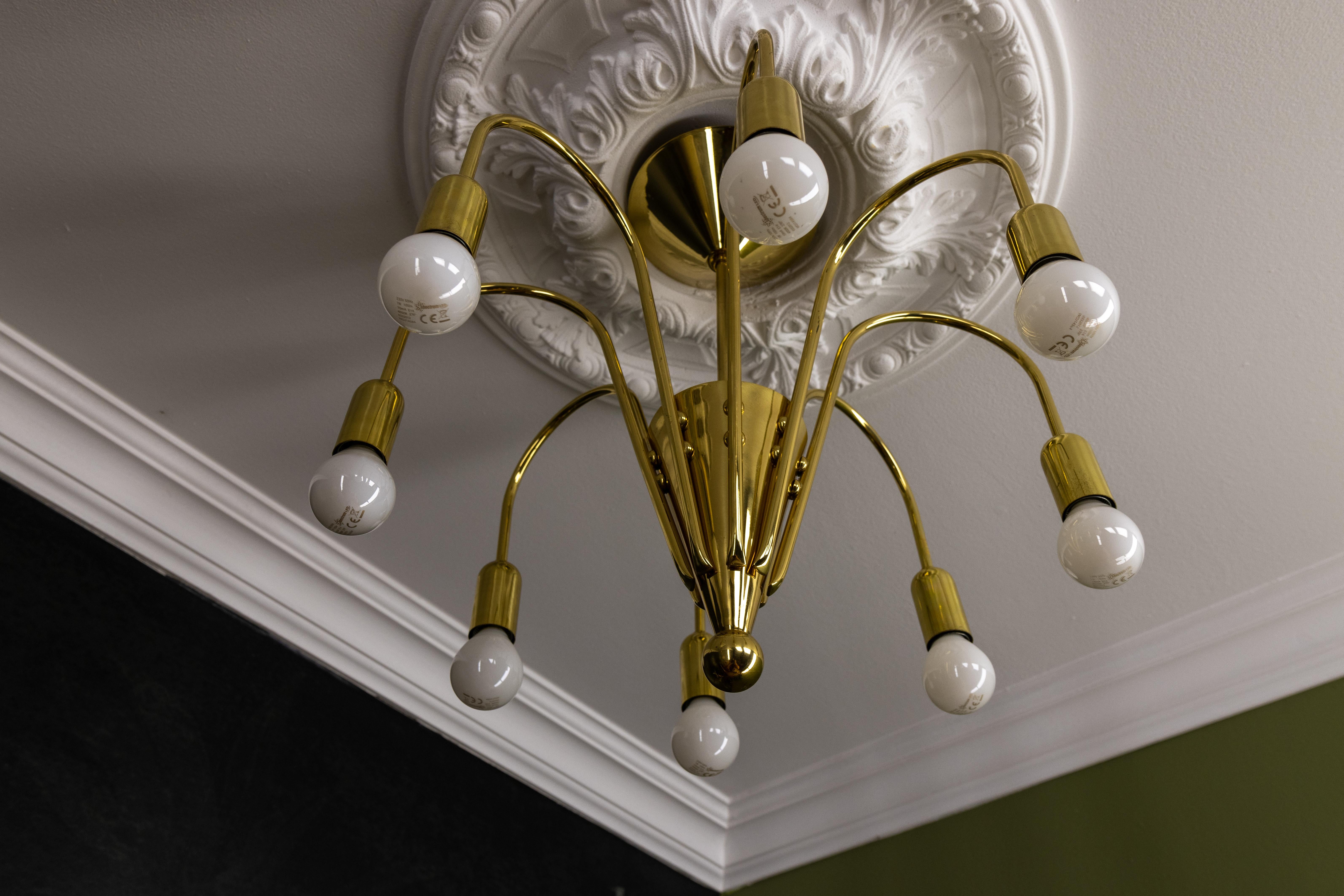 Mid-Century Modern Brass Eight-Light Sputnik Chandelier by TZ Leuchten, Germany For Sale 3