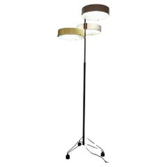 Moderne Stehlampe aus Messing aus der Mitte des Jahrhunderts von Bruno Gatta für Stilnovo, Italien, 1950er Jahre
