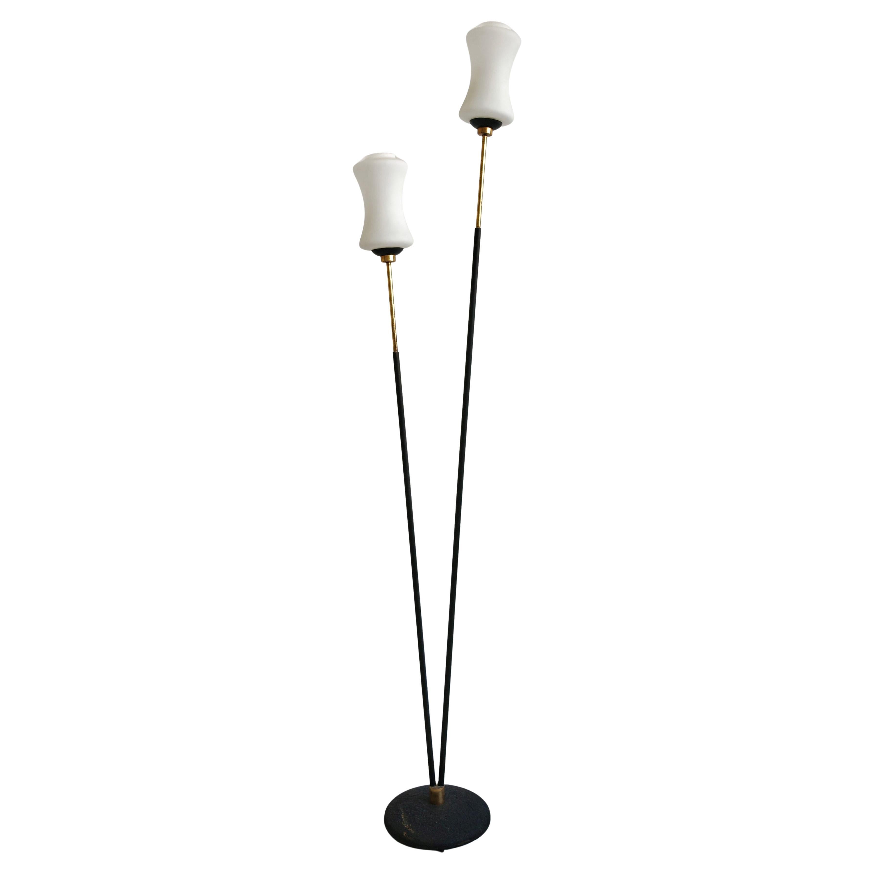 Mid Century Modern Brass Floor Lamp with milk white glass shades by Stilnovo