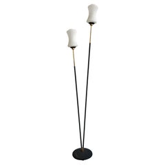 Mid Century Modern Brass Floor Lamp with milk white glass shades by Stilnovo
