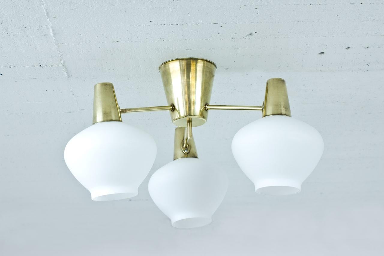 Three armed ceiling lamp produced by ASEA in Sweden during the 1950s. Polished brass, opaline glass diffusers.