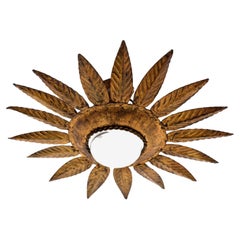 Mid-Century Modern Brass Sunburst Pendelleuchte - Unique 1960 Piece