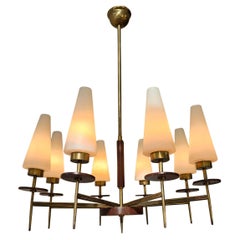 Mid-Century Modern Brass, Wood and Opaline Glass Chandelier, 1950s, 8 Lights