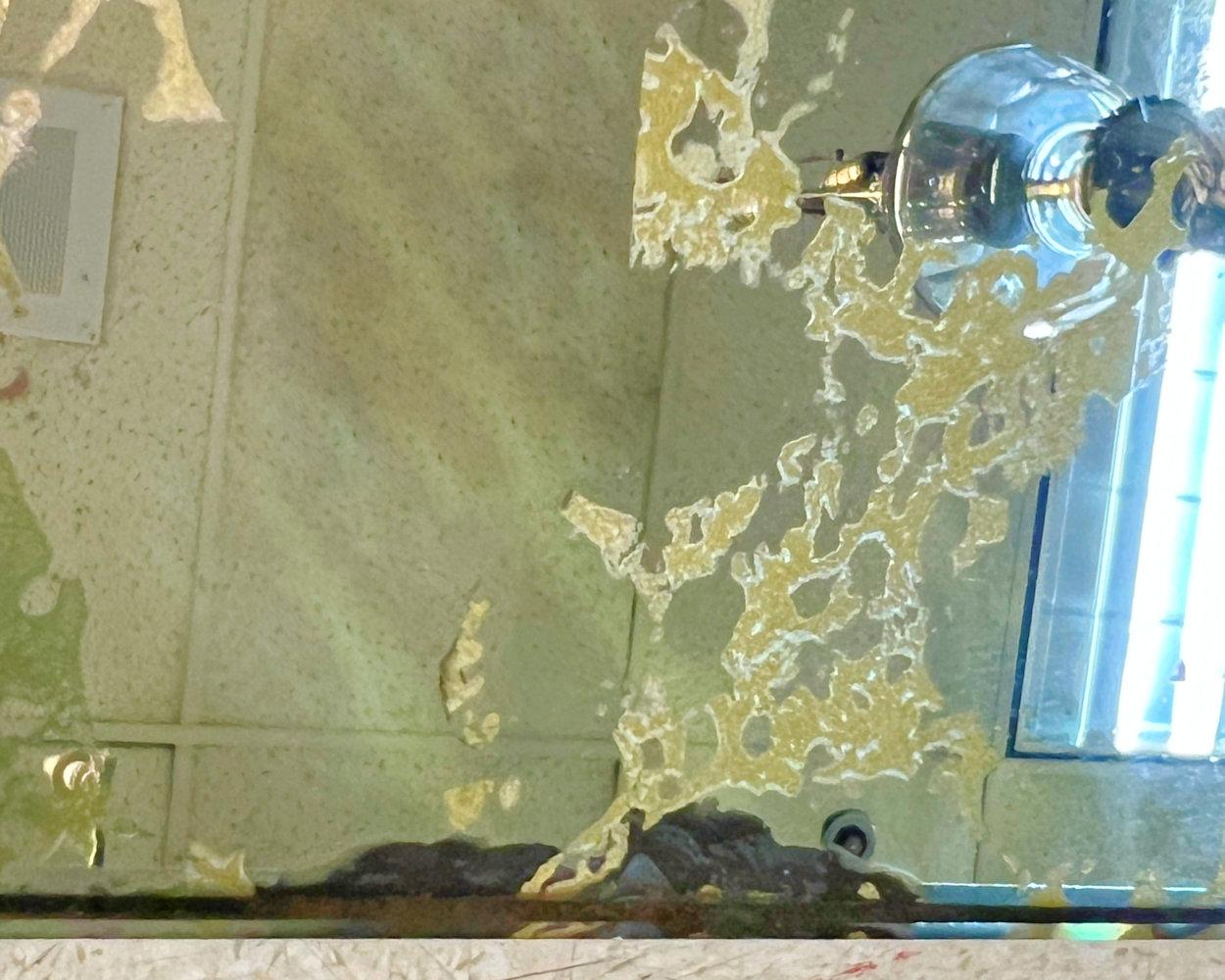 Tavolino da caffè moderno di metà secolo in vetro dorato e pelle di capra laccata in vendita 6