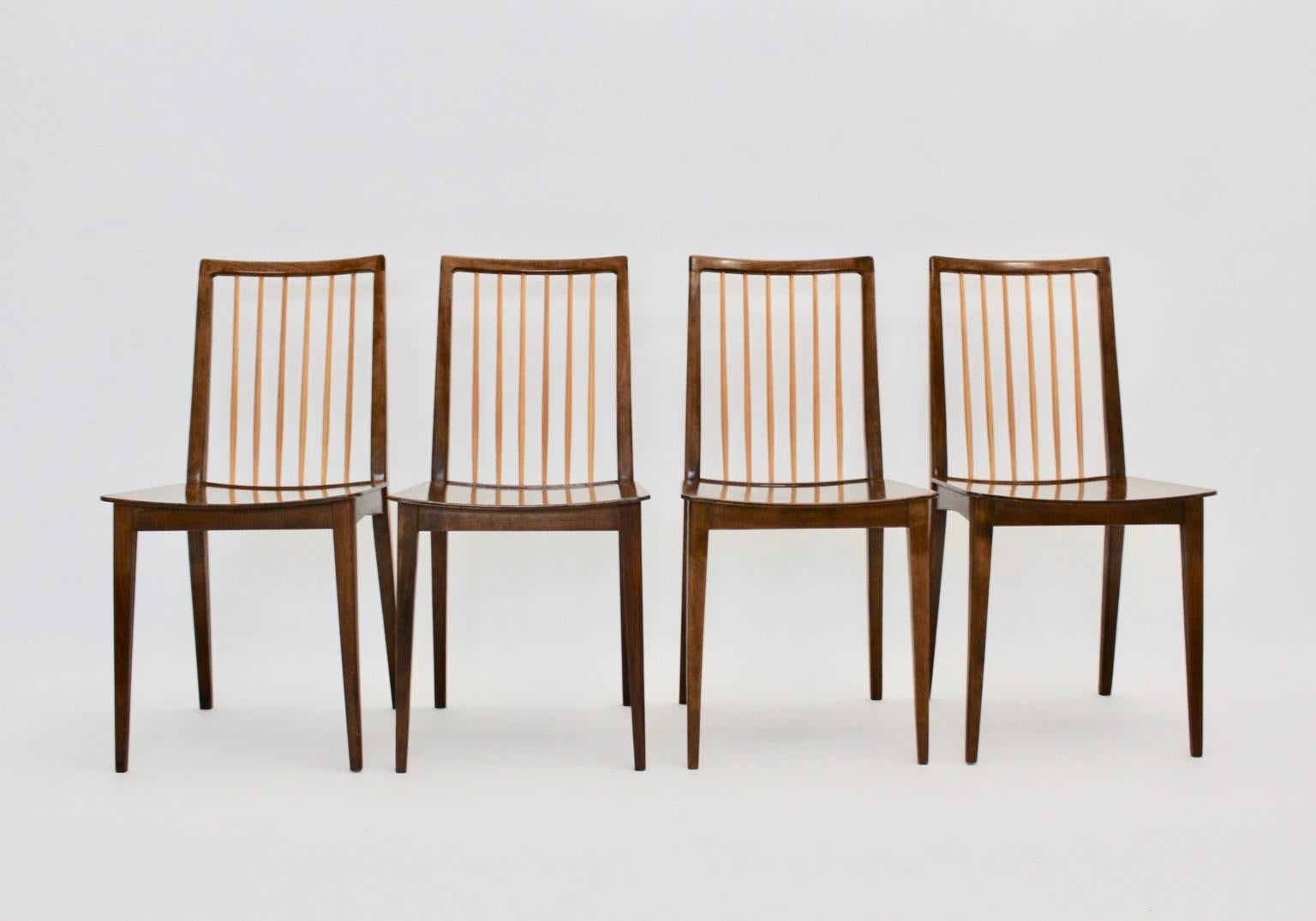 Mid century Modern set of four dining chairs by Oskar Payer attributed, Vienna circa 1950, which shows timeless elegance.
The dining chairs were made of solid beechwood - brown stained and lacquered. The back of the dining chair shows 5 bright