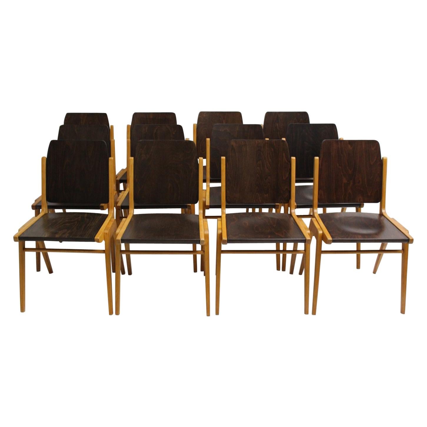 Mid-Century Modern Brown Dining Room Chairs Franz Schuster 1959 Set of Twelve