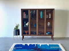Mid-Century Modern Broyhill Brasilia China Display Cabinet