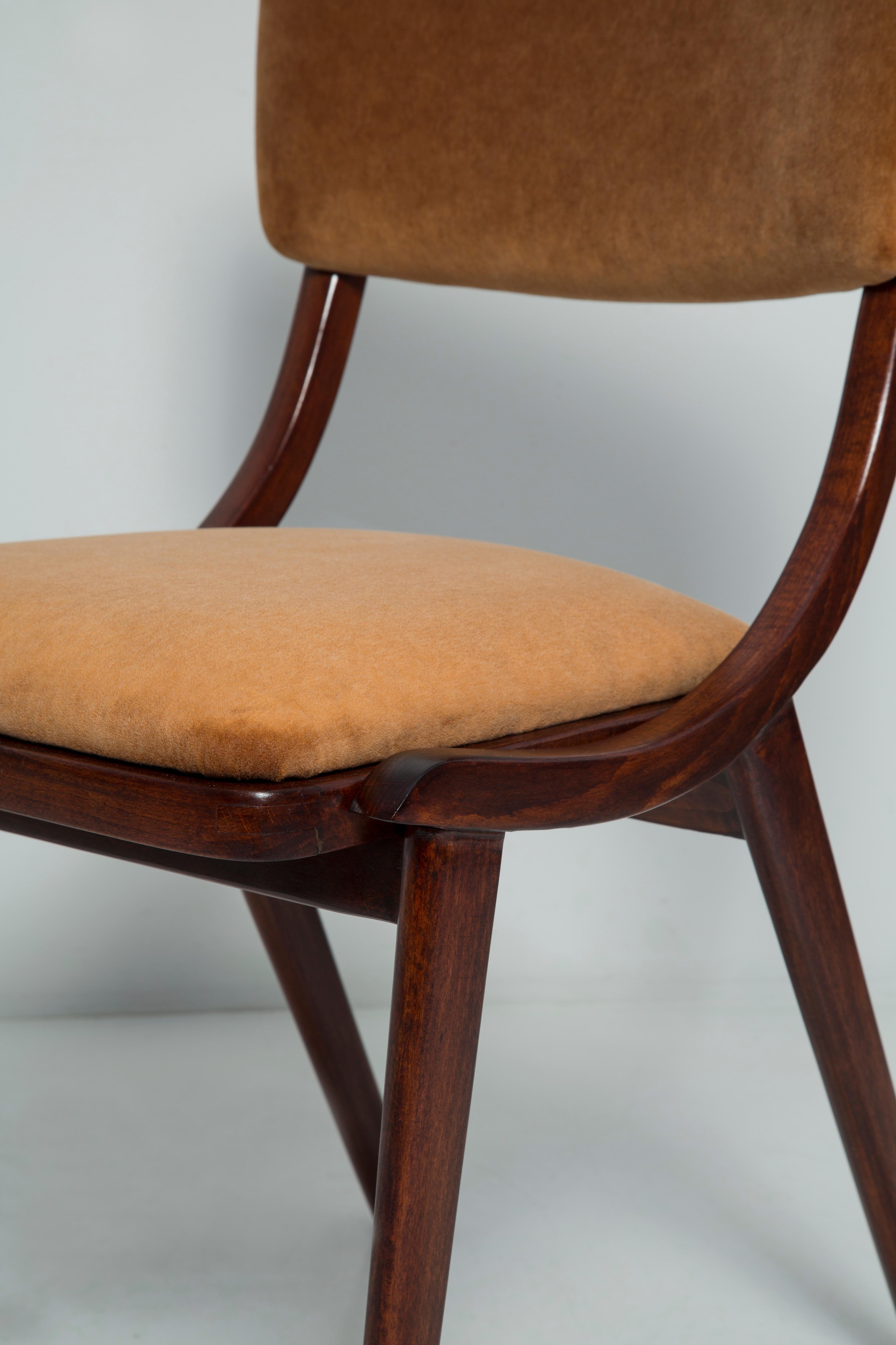 Mid Century Modern Bumerang Chair, Brown Beige Velvet, Polen, 1960er Jahre im Angebot 2