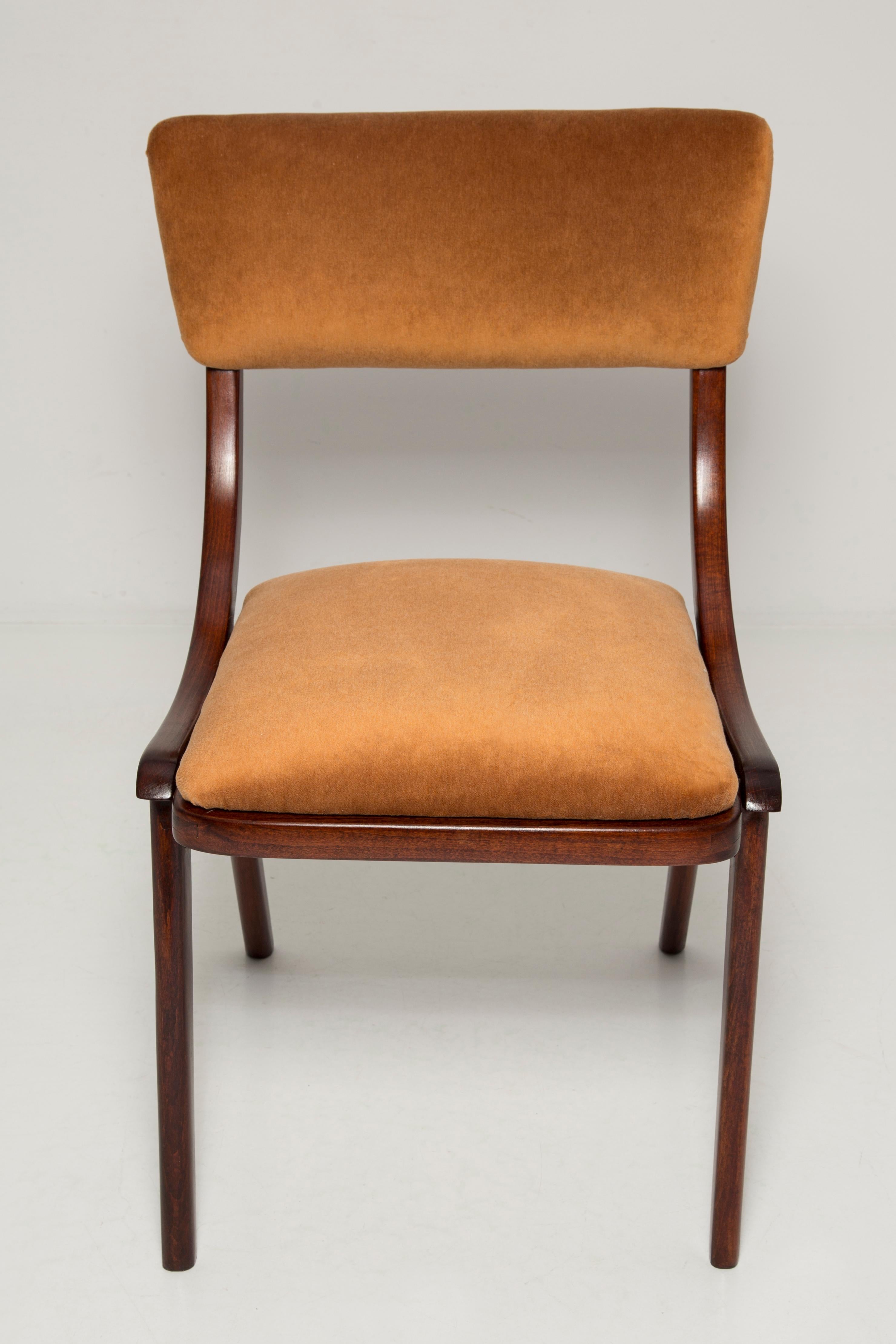 Mid Century Modern Bumerang Chair, Brown Beige Velvet, Polen, 1960er Jahre (Moderne der Mitte des Jahrhunderts) im Angebot