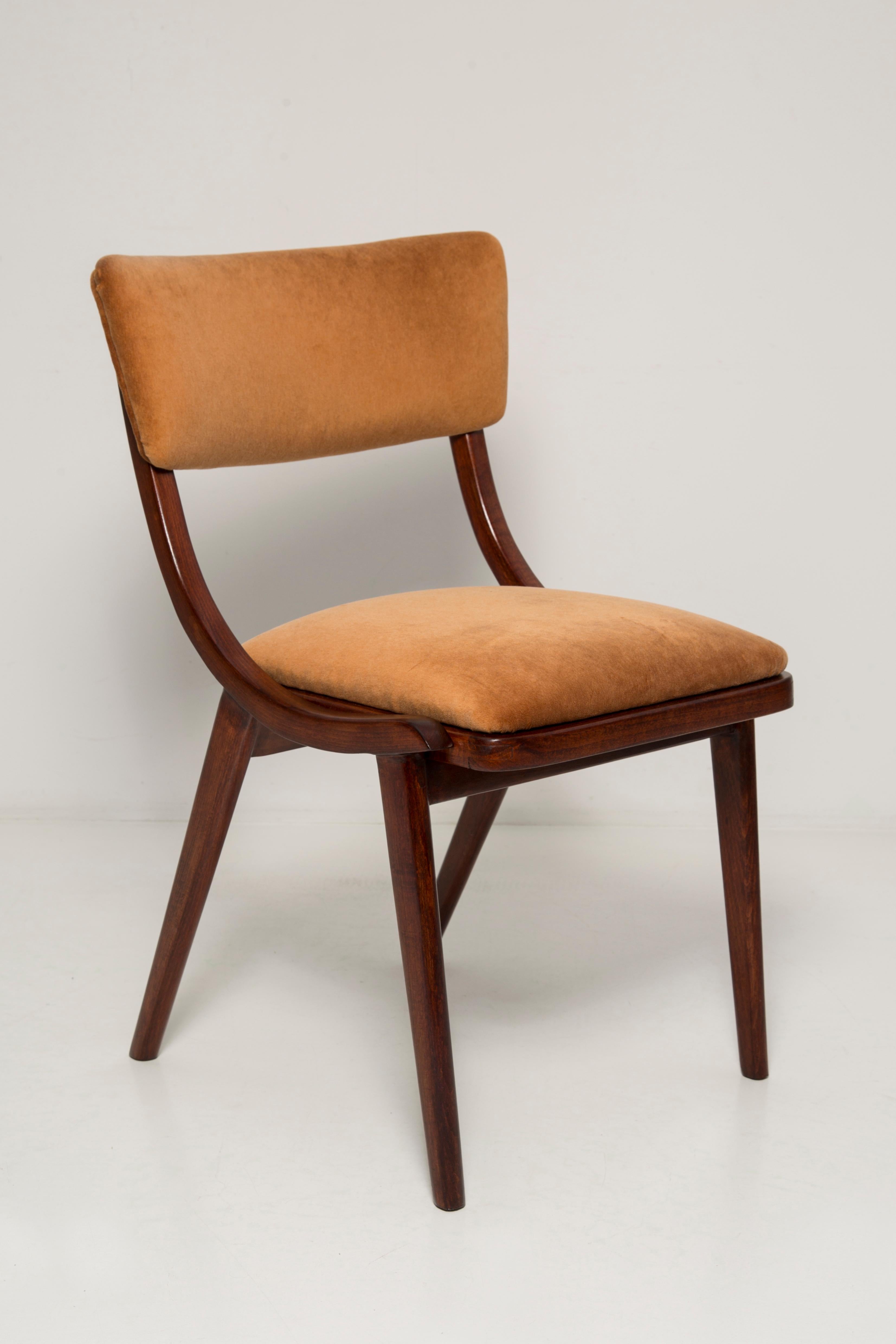Mid Century Modern Bumerang Chair, Brown Beige Velvet, Polen, 1960er Jahre (Polnisch) im Angebot