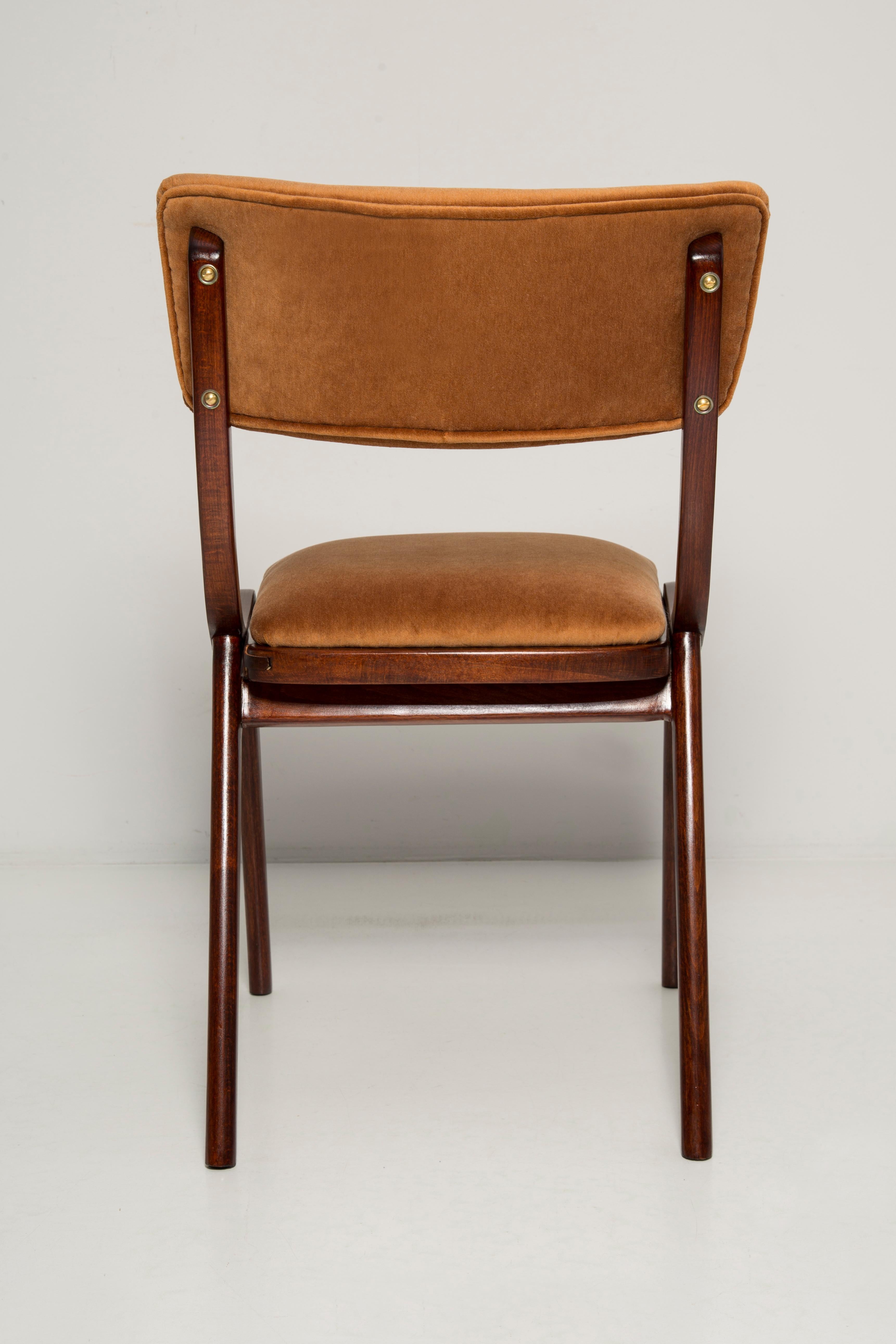 Mid Century Modern Bumerang Chair, Brown Beige Velvet, Polen, 1960er Jahre im Angebot 1