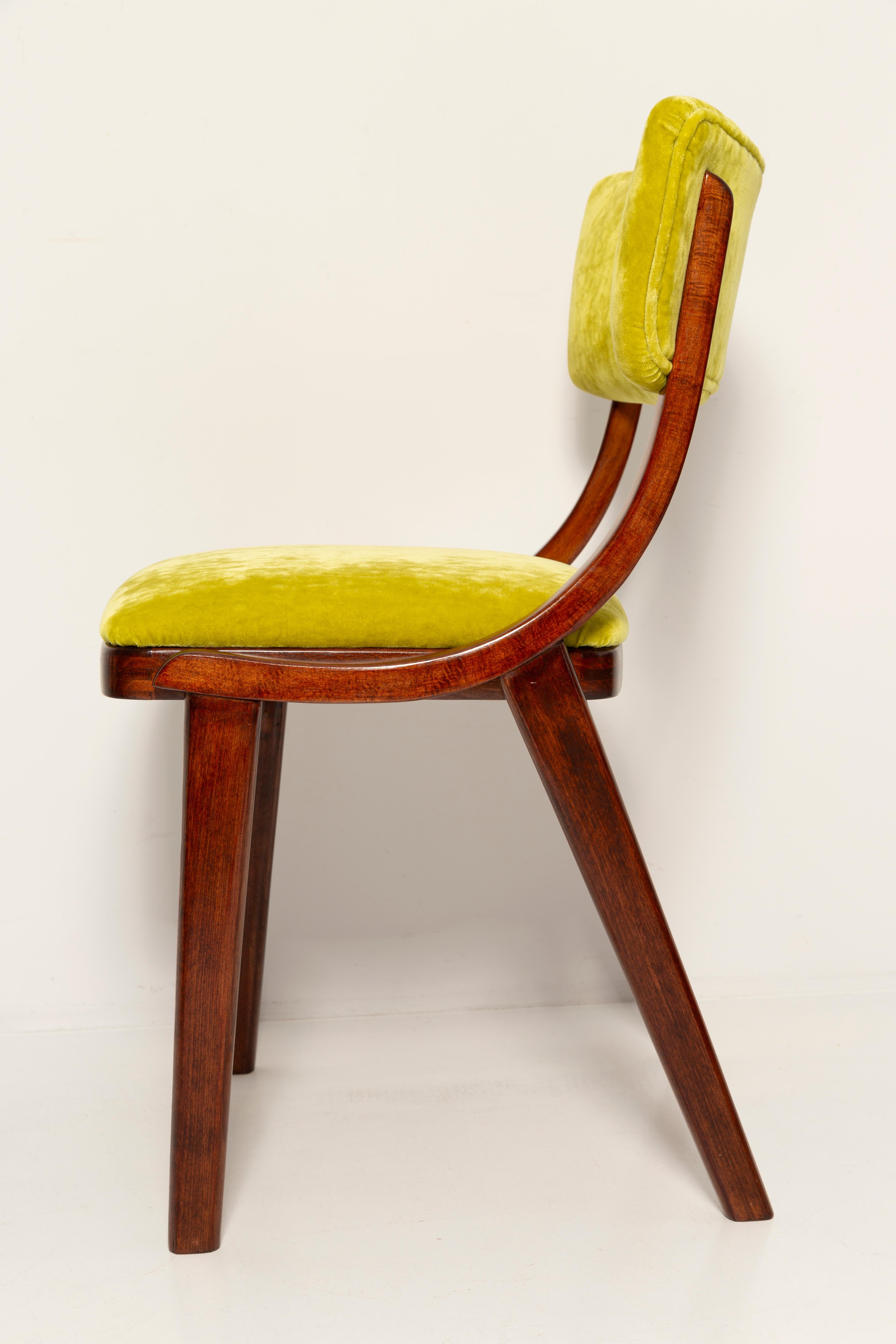 Silla moderna de mediados de siglo Bumerang, terciopelo lima Plushy FR Dedar, Polonia, años 60 en venta 2