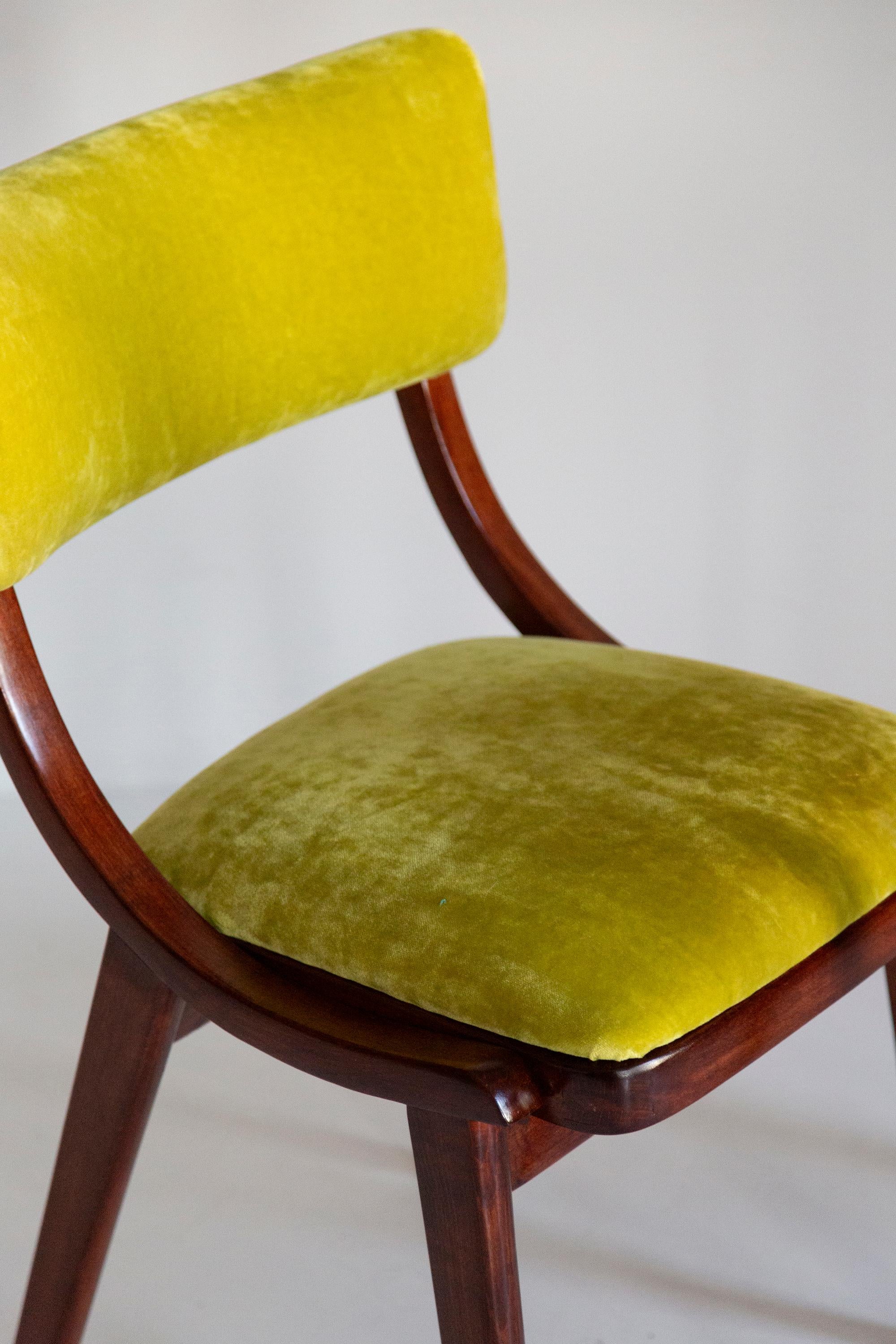 Silla moderna de mediados de siglo Bumerang, terciopelo lima Plushy FR Dedar, Polonia, años 60 Polaco en venta