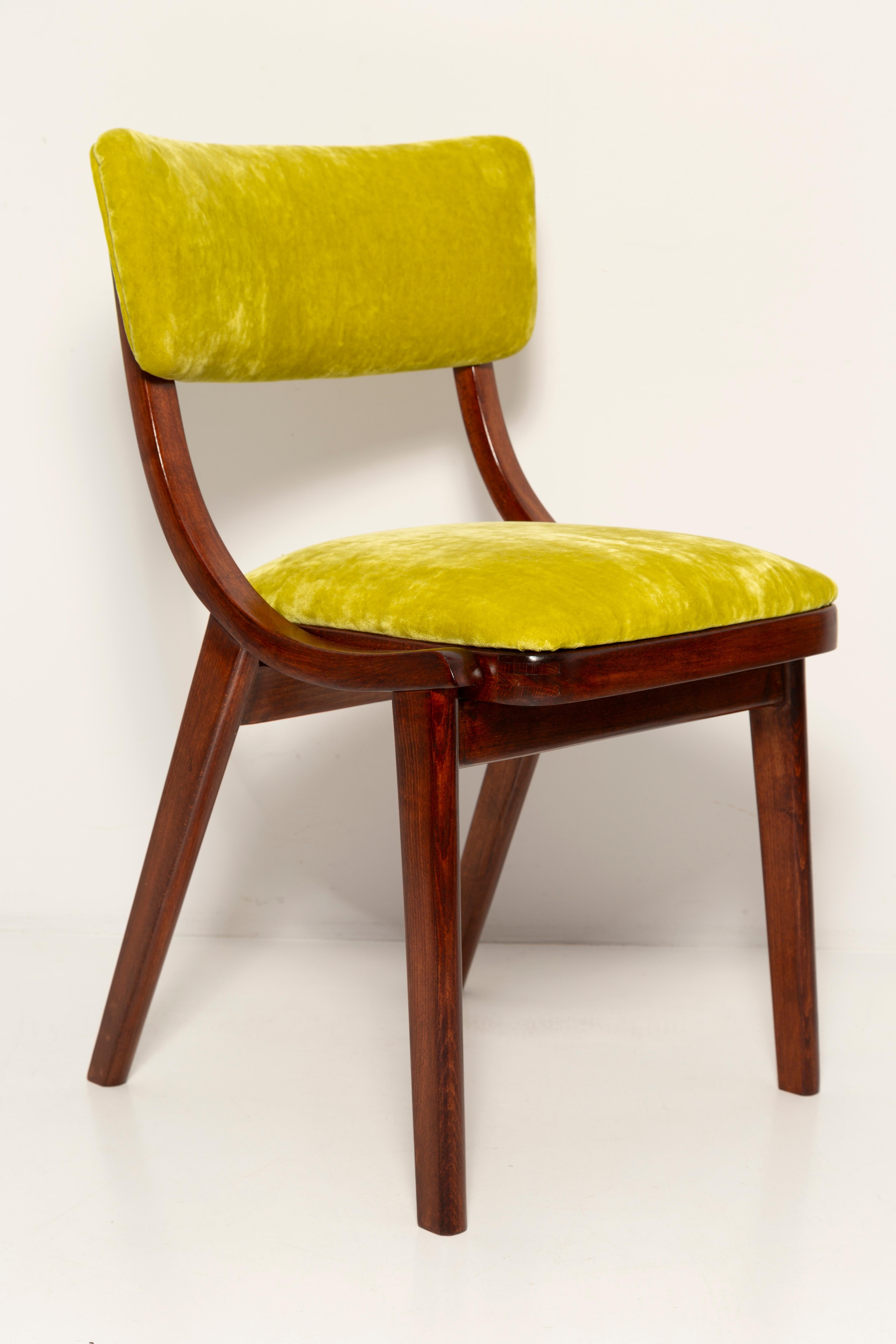 Silla moderna de mediados de siglo Bumerang, terciopelo lima Plushy FR Dedar, Polonia, años 60 en Excelente estado para la venta en 05-080 Hornowek, PL