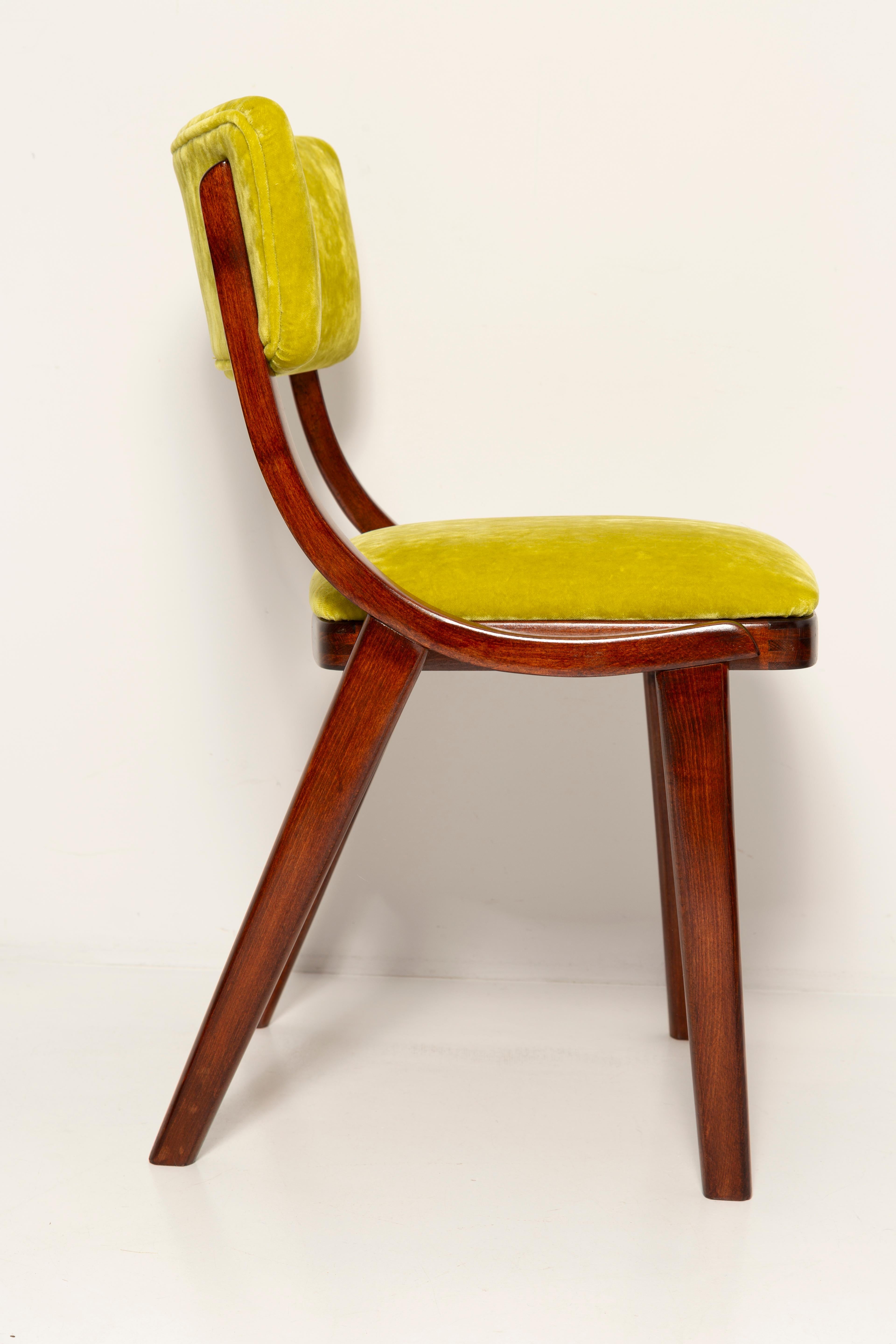Silla moderna de mediados de siglo Bumerang, terciopelo lima Plushy FR Dedar, Polonia, años 60 siglo XX en venta