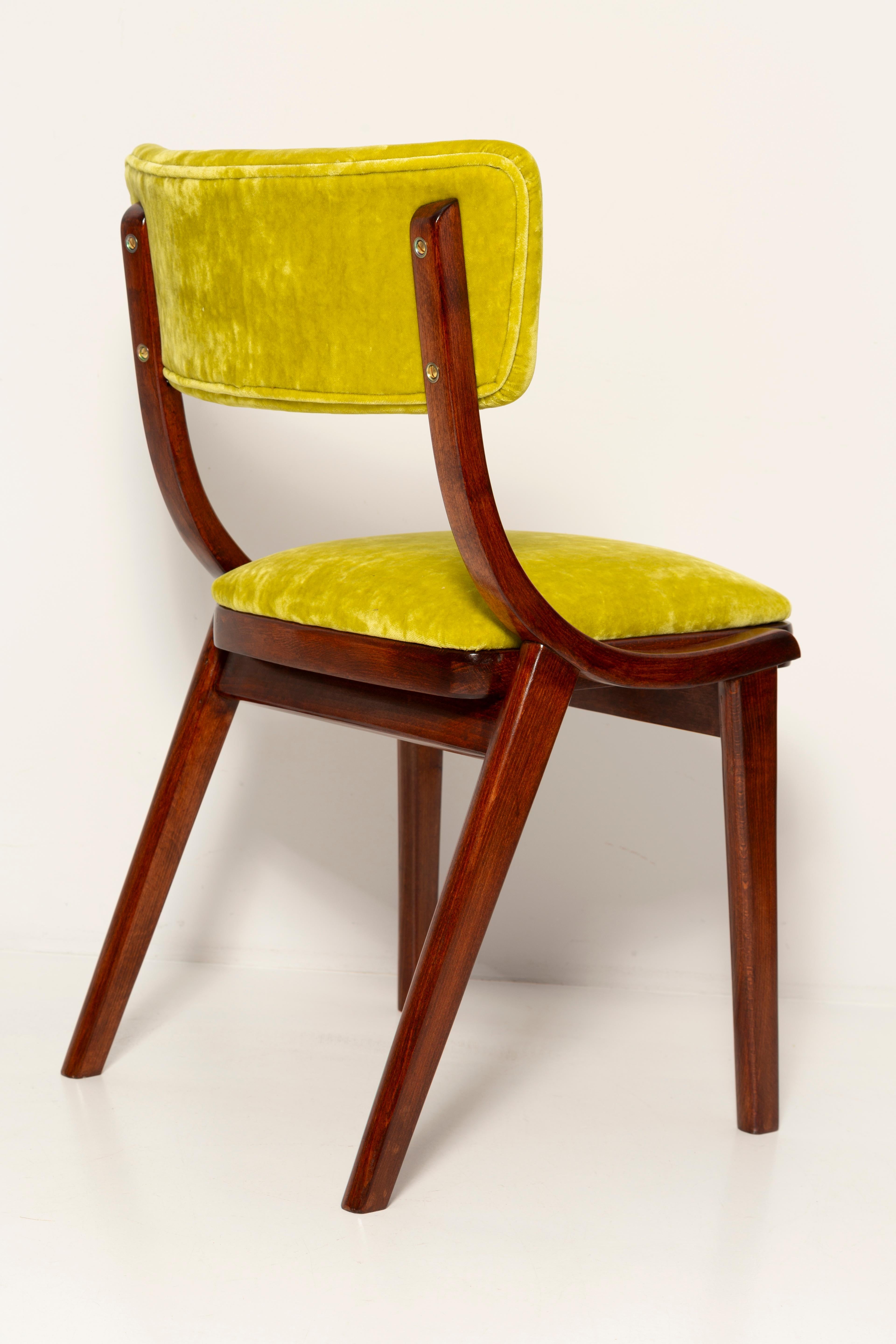Silla moderna de mediados de siglo Bumerang, terciopelo lima Plushy FR Dedar, Polonia, años 60 Cuero en venta