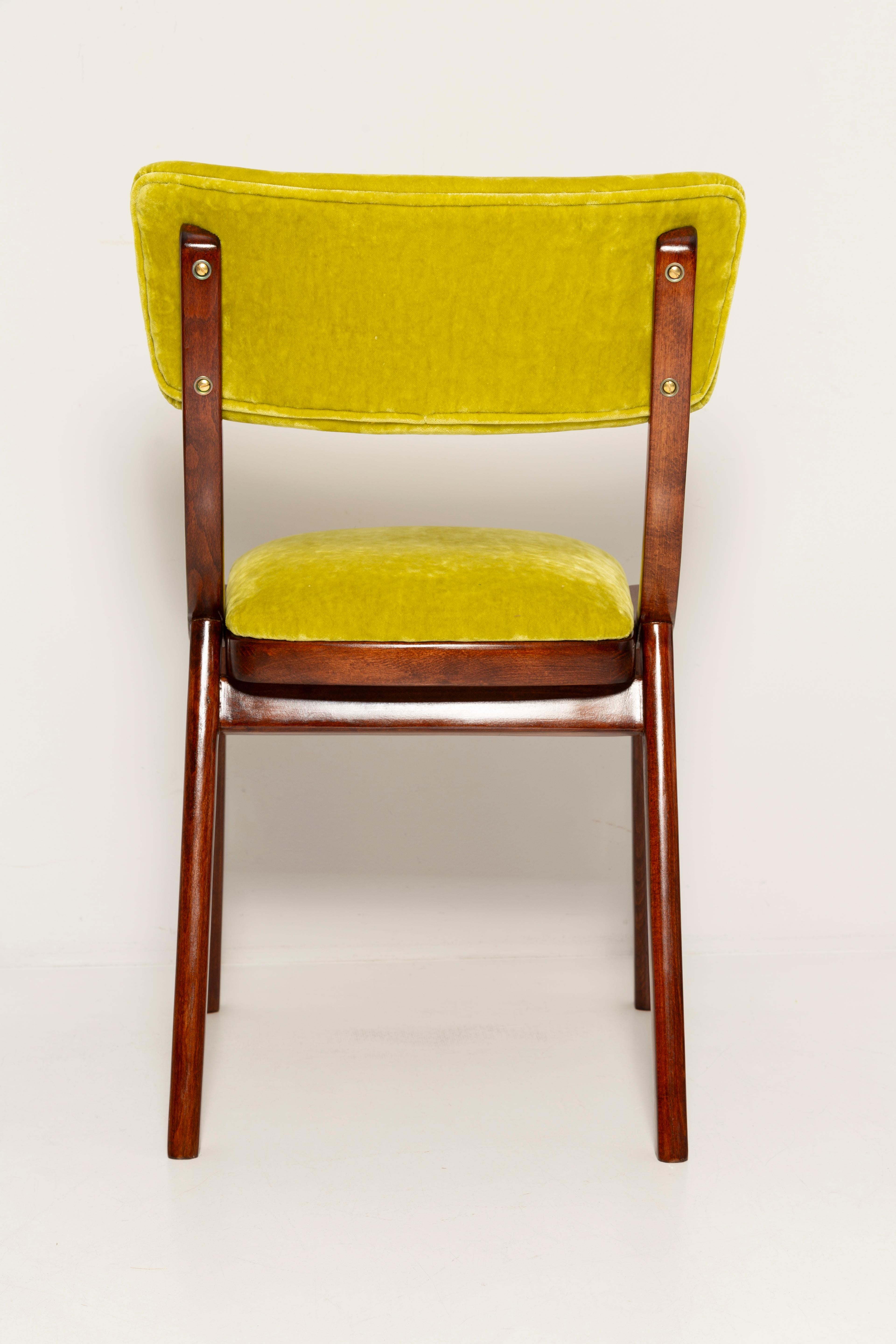 Silla moderna de mediados de siglo Bumerang, terciopelo lima Plushy FR Dedar, Polonia, años 60 en venta 1