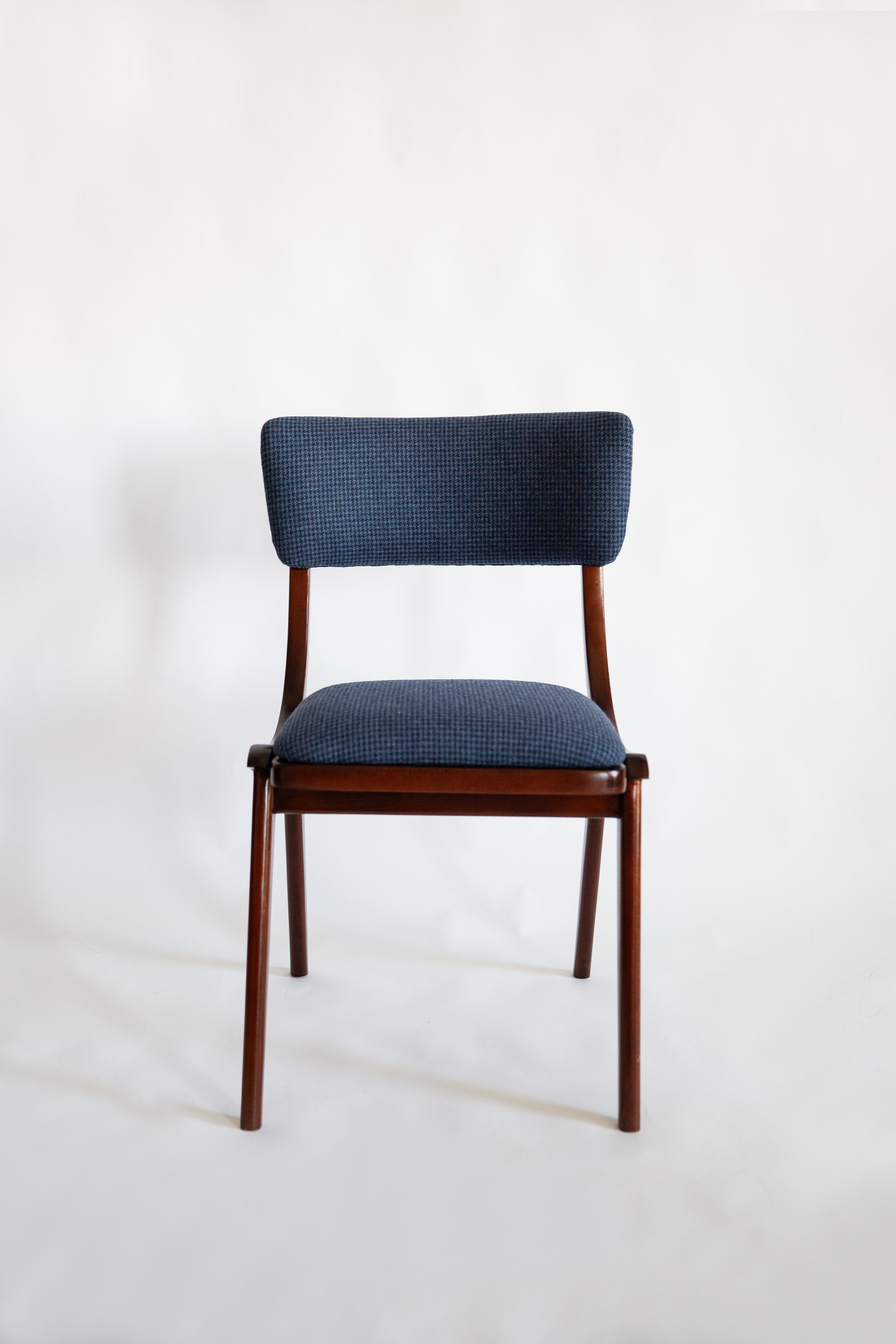 Mid Century Modern Bumerang Chair, Navy Cheerful Check Wool, Poland, 1960s For Sale 2