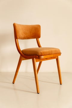 Mid Century Modern Bumerang Chair, Rust Velvet, Poland, 1960s