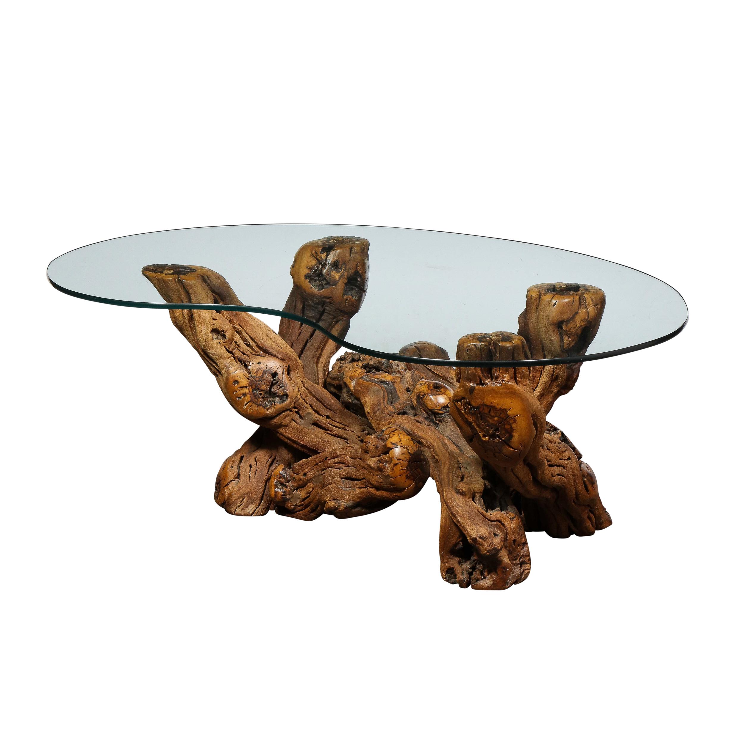 This stunning Mid-Century Modern cocktail table was realized in the United States circa 1960. It features a sculptural burled base consisting of interlocking boughs of driftwood whose limbs rise in four locations to support an amorphic piece of