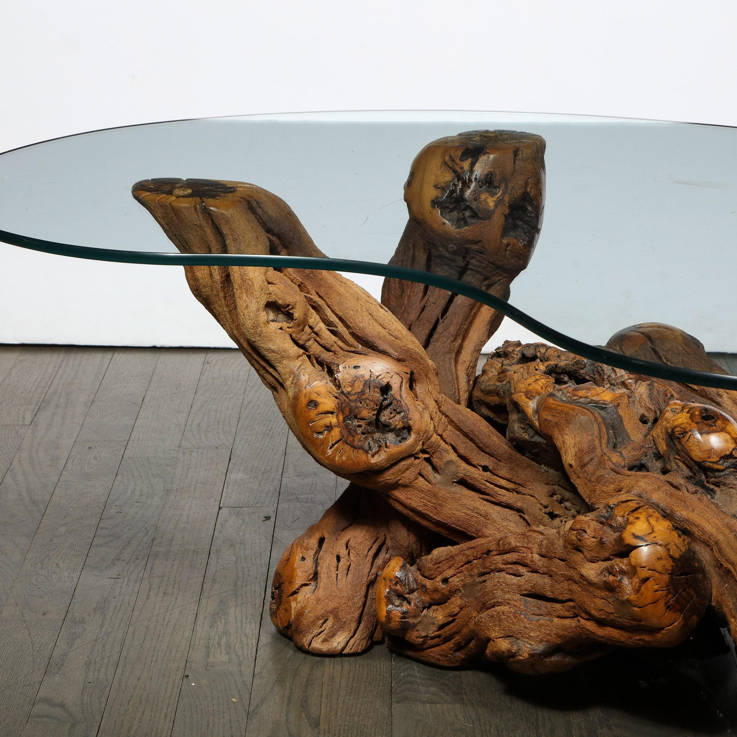 American Mid-Century Modern Burled Driftwood Cocktail Table with Amorphic Glass Top