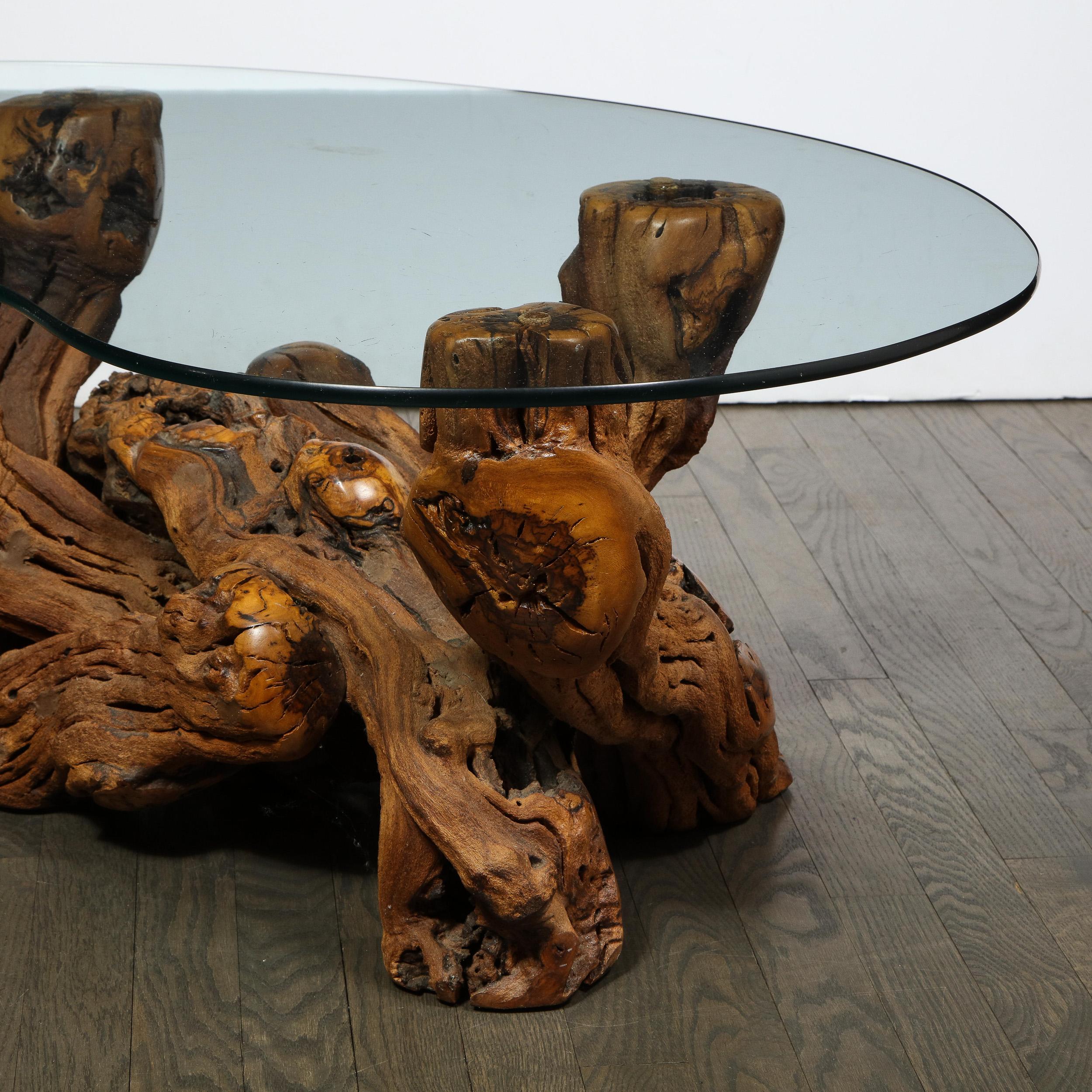 Mid-Century Modern Burled Driftwood Cocktail Table with Amorphic Glass Top In Good Condition In New York, NY