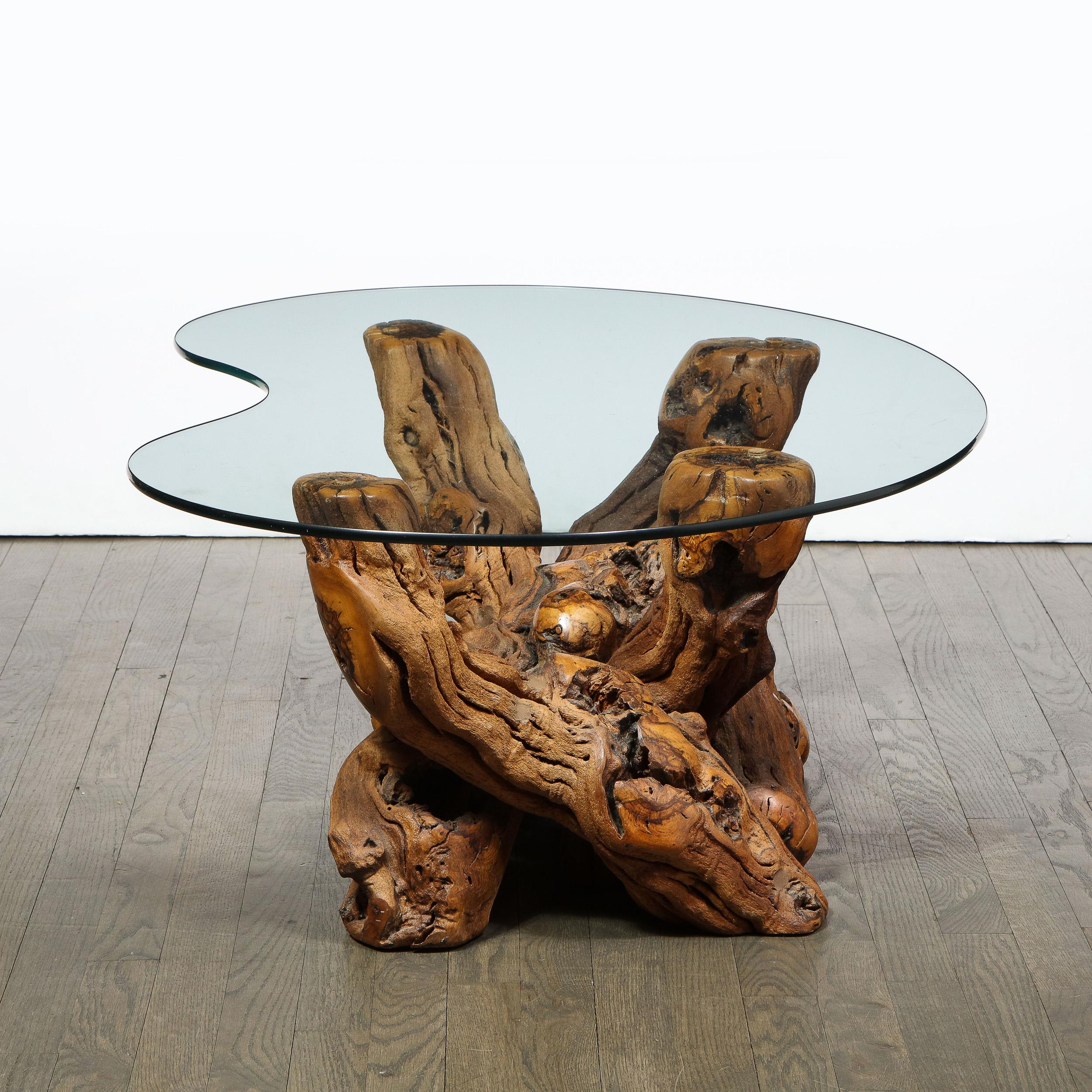 Mid-20th Century Mid-Century Modern Burled Driftwood Cocktail Table with Amorphic Glass Top