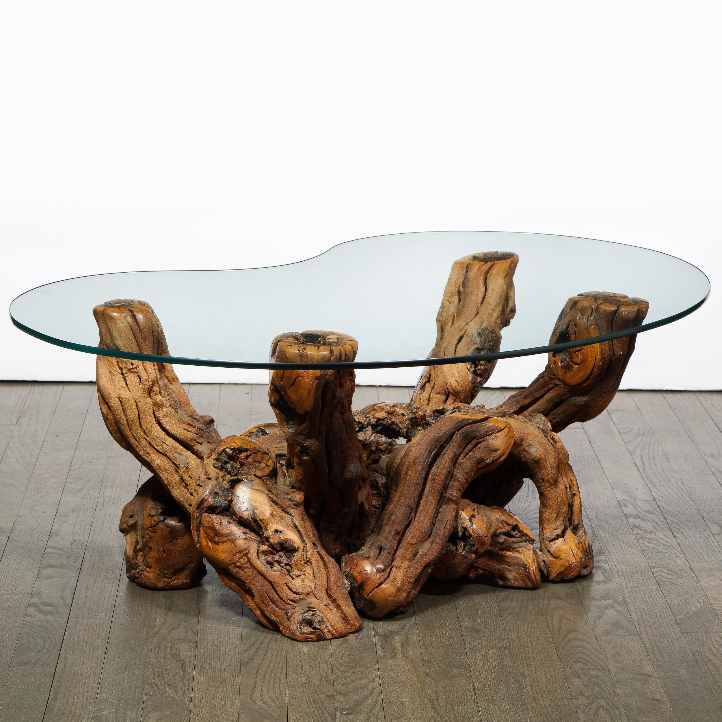 Mid-Century Modern Burled Driftwood Cocktail Table with Amorphic Glass Top 1
