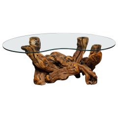 Mid-Century Modern Burled Driftwood Cocktail Table with Amorphic Glass Top