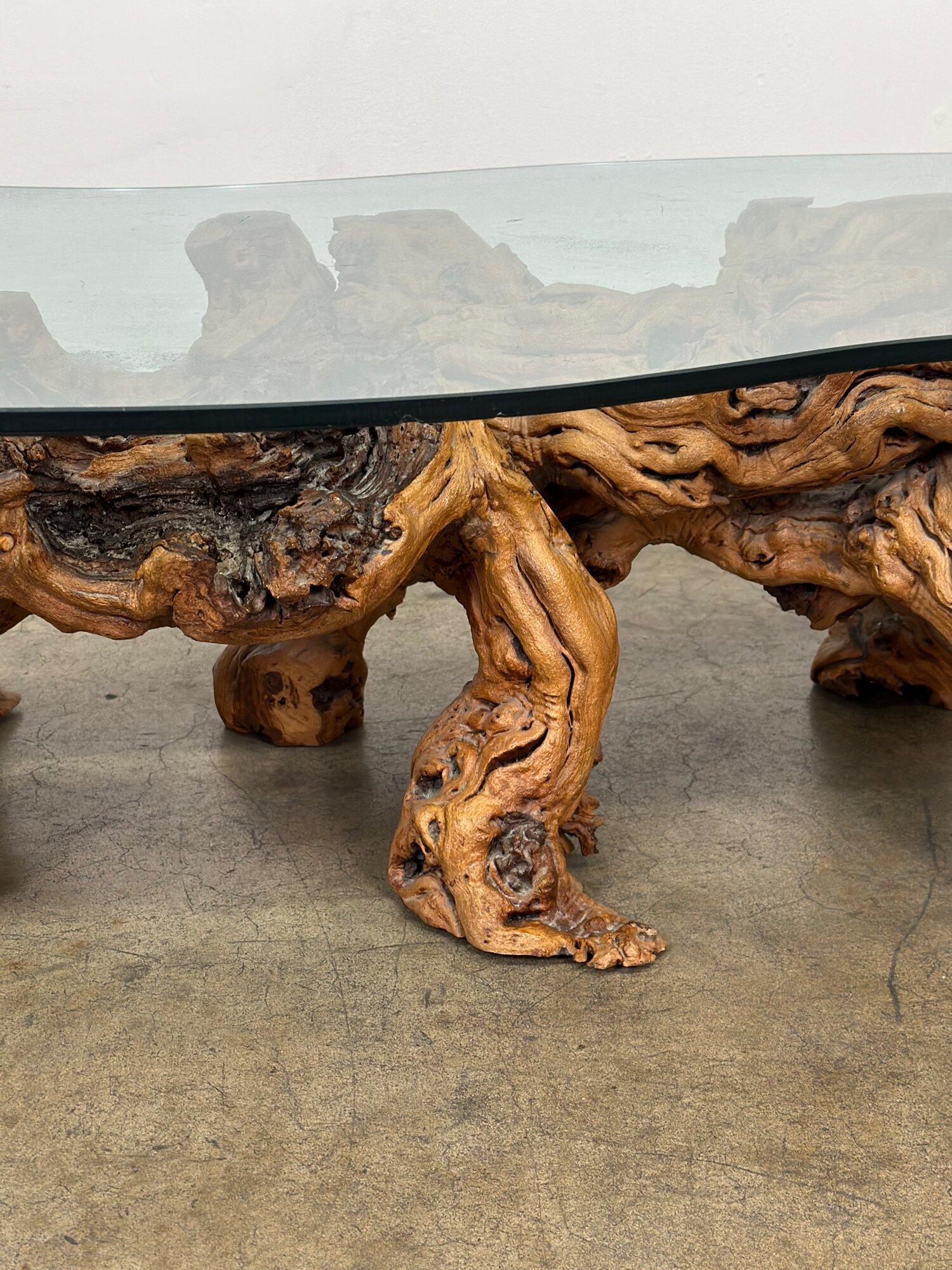 Mid-Century Modern Burled Driftwood Coffee Table with Amorphic Glass Top 7
