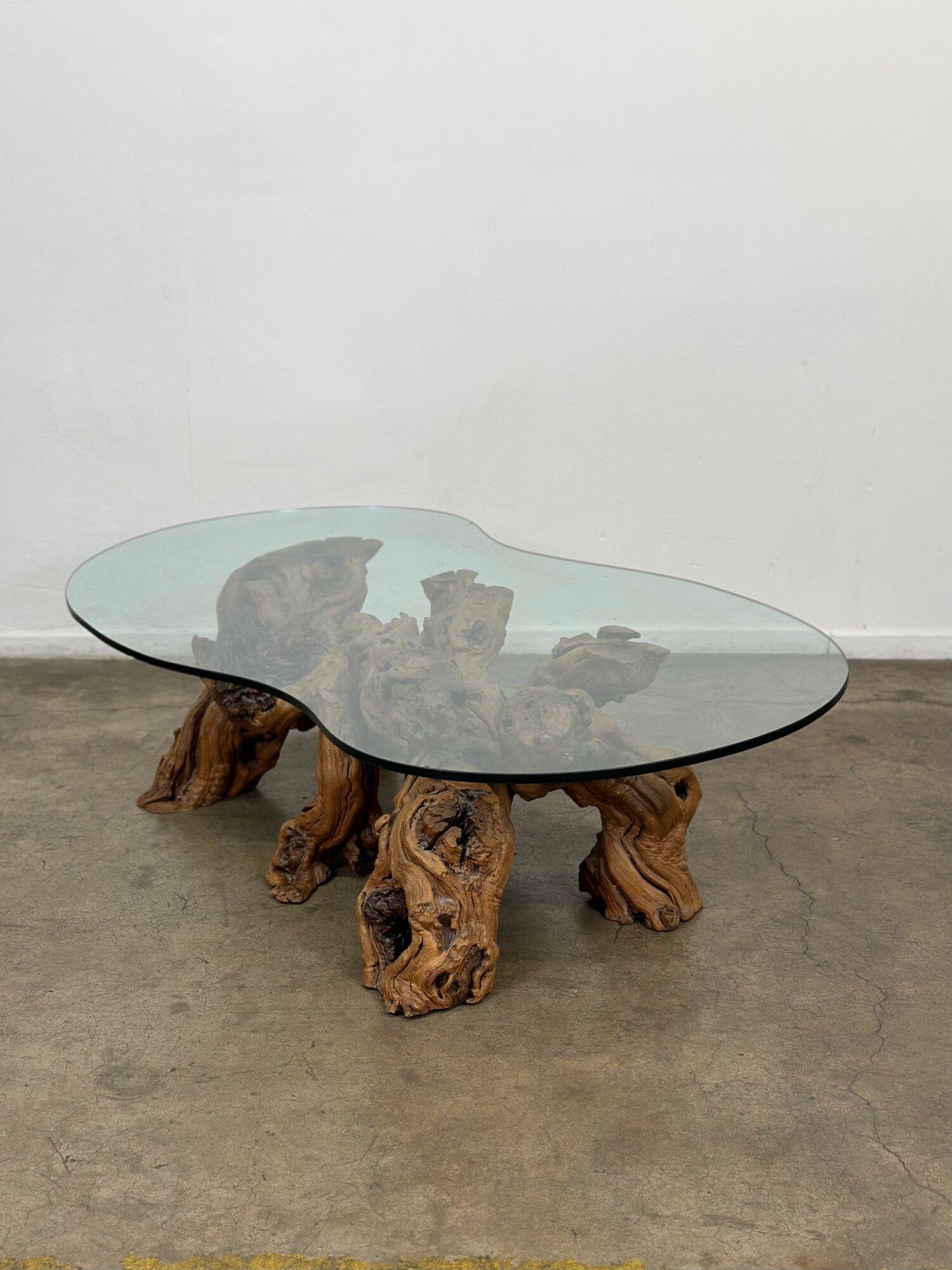 20th Century Mid-Century Modern Burled Driftwood Coffee Table with Amorphic Glass Top